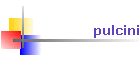 pulcini